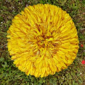 jujuhat jaune