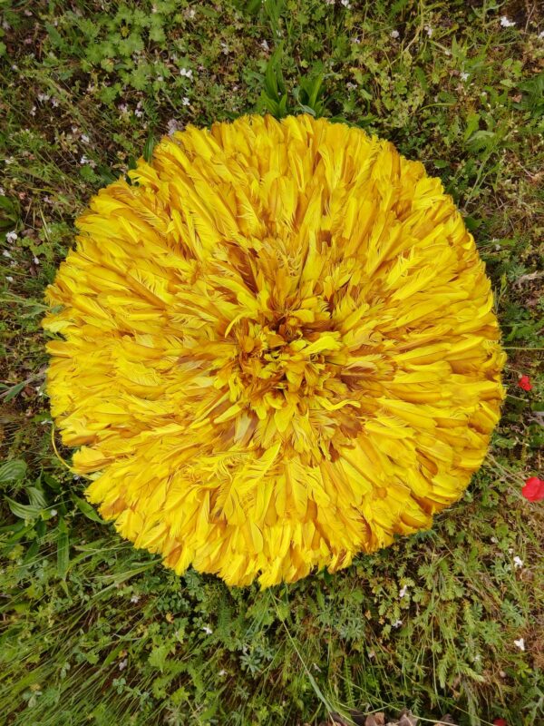 jujuhat jaune