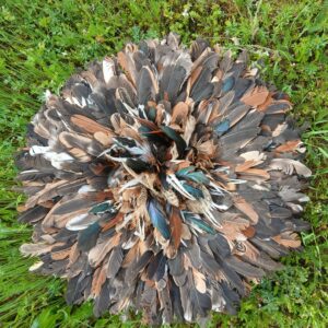 jujuhat-multicolore-brun