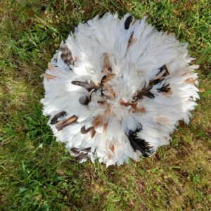 Juju hat blanc et ses plumetis bruns