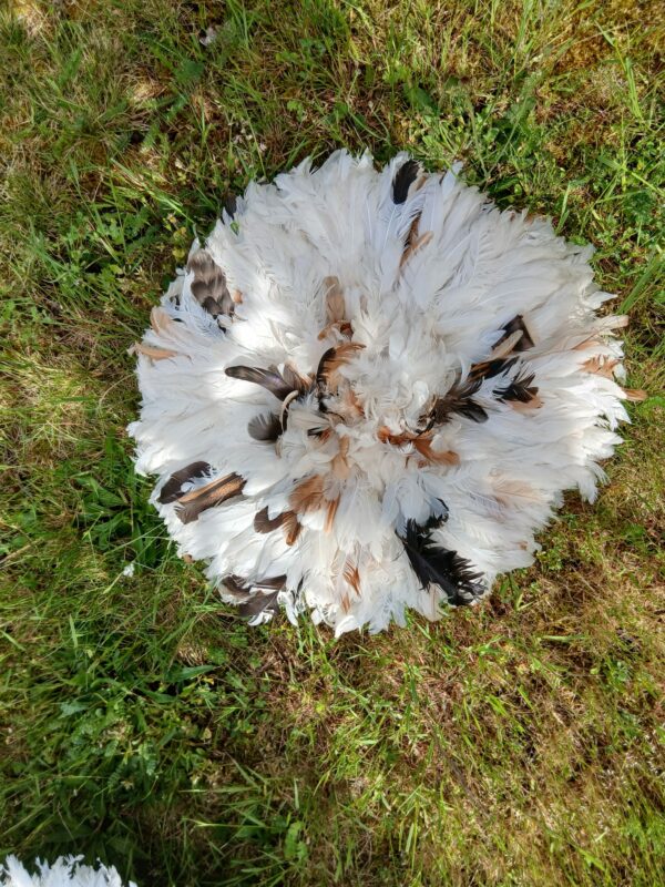 Juju hat blanc et ses plumetis bruns