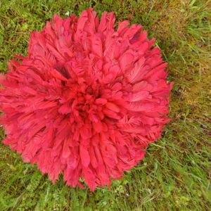 jujuhat-rouge Juju hat rouge
